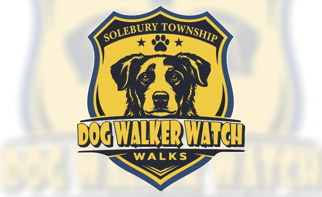 Dog Walker Watch Walks